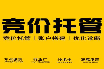 实战派经验分享：百度竞价代理成功案例揭秘